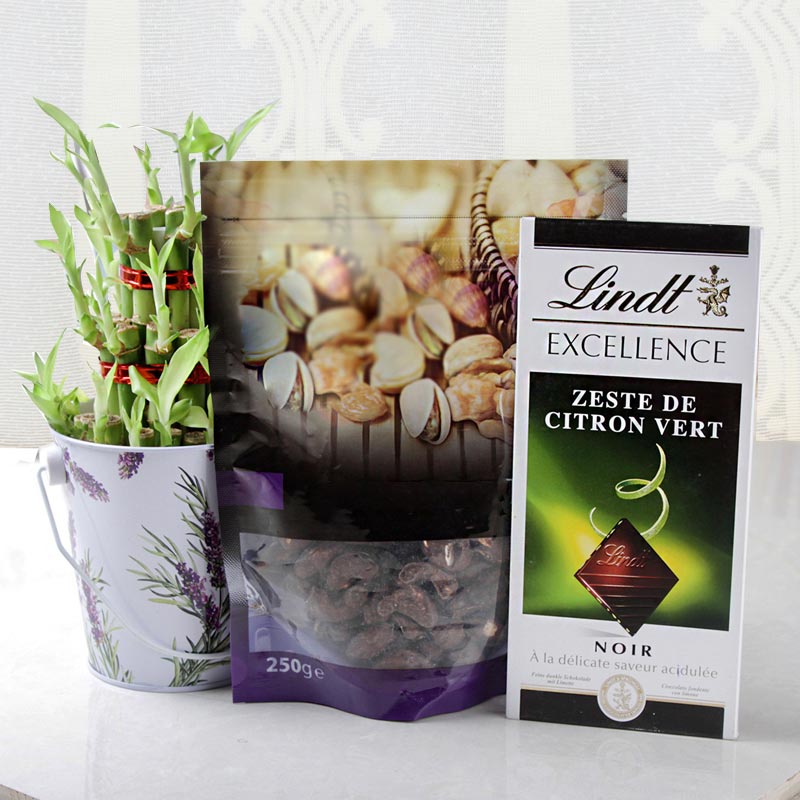 Chocolates and Good Luck Plant Combo