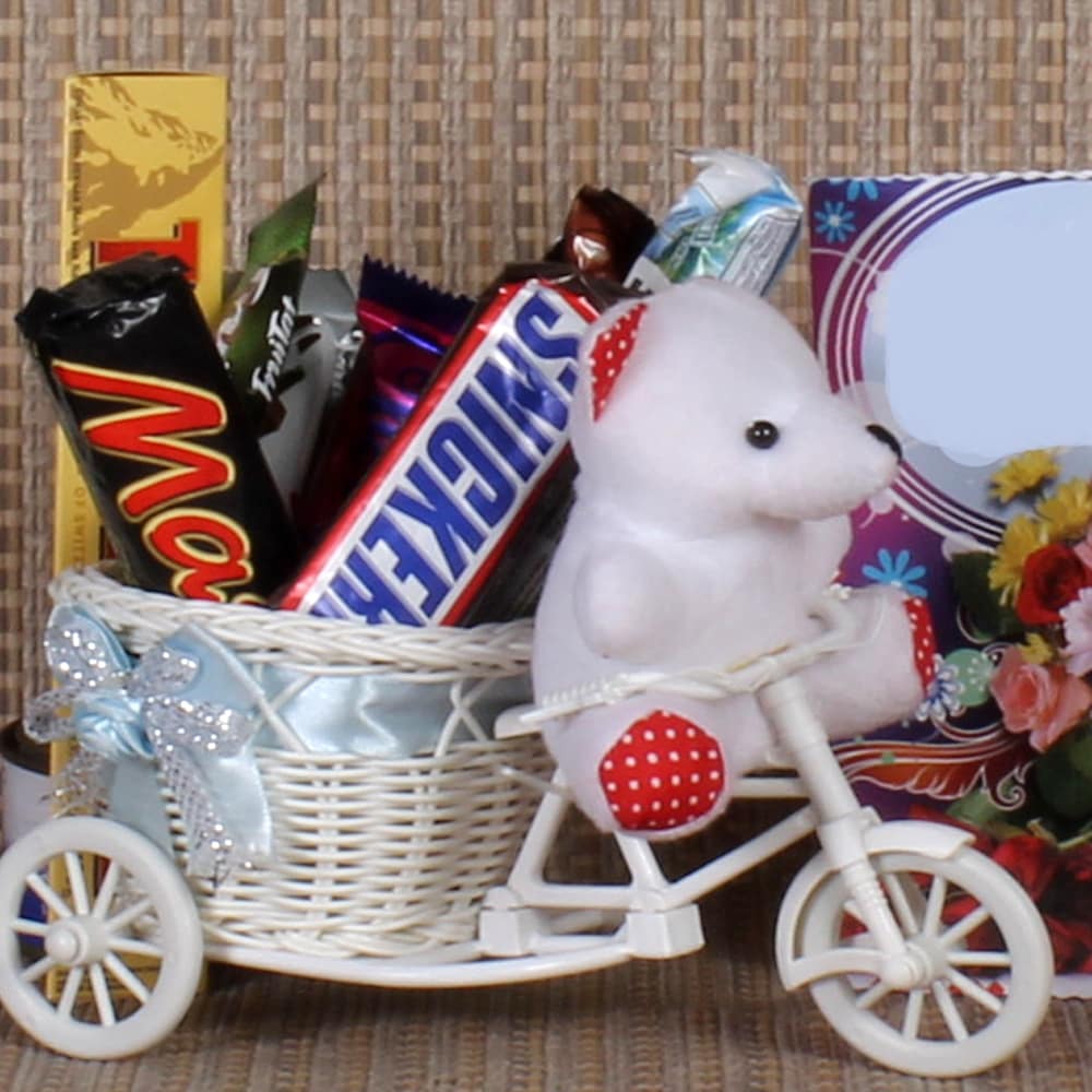 Cycle Basket of Teddy with Chocolate