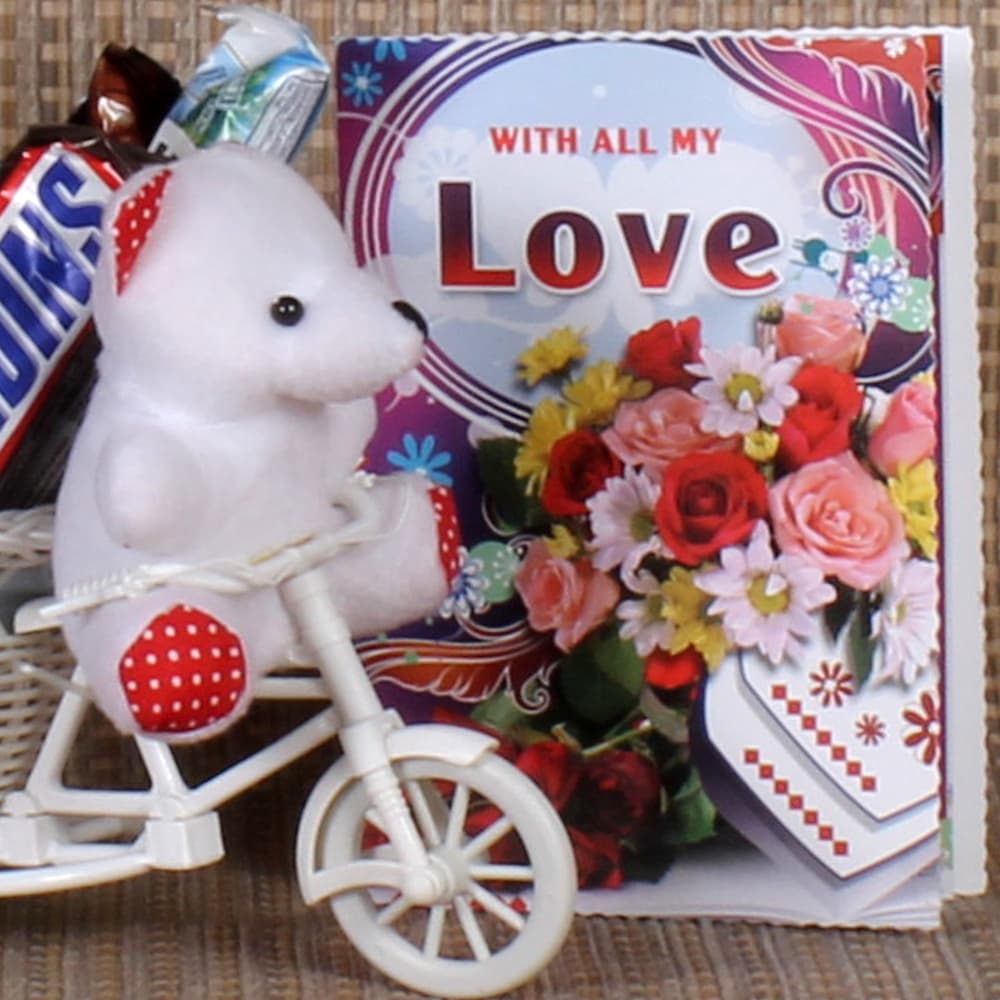 Cycle Basket of Teddy with Chocolate