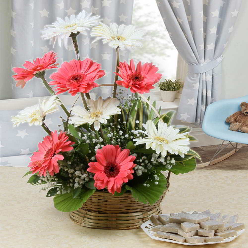 Moms Favorit Kaju Katli Sweets with Ten Gerberas Arrangement