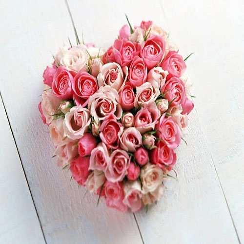 40 Pink Roses Heart Shape Arrangement