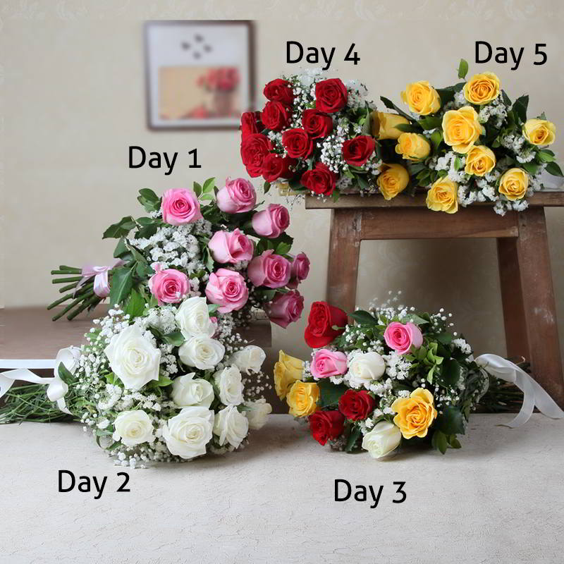 Valentine Bouquet of Five Day Serenade