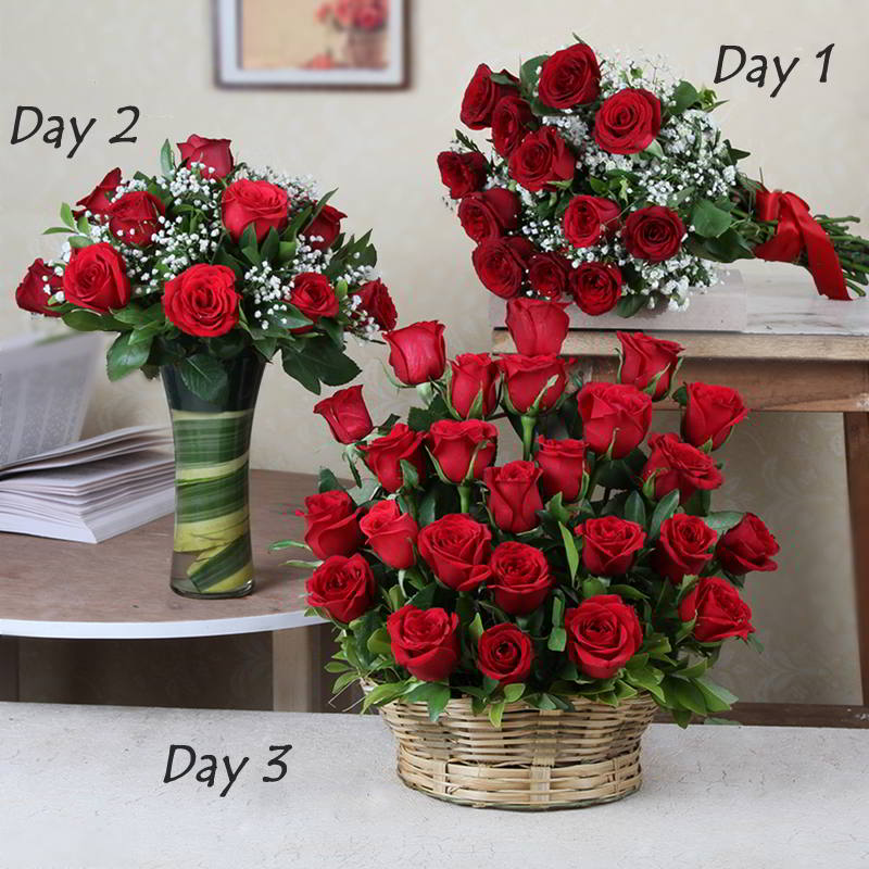 Three Days Surprise Gifts Delivery For Valentine