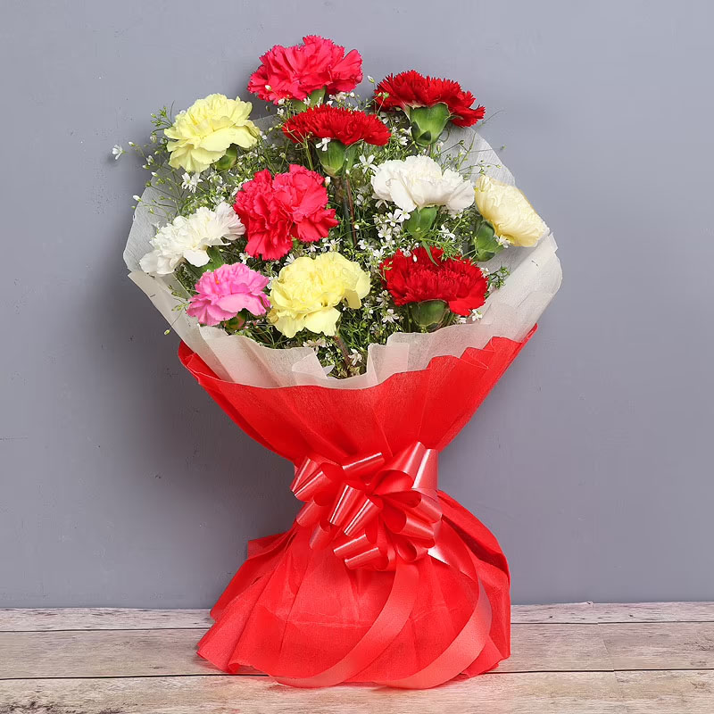Valentines Day Gift of Colorful Carnation