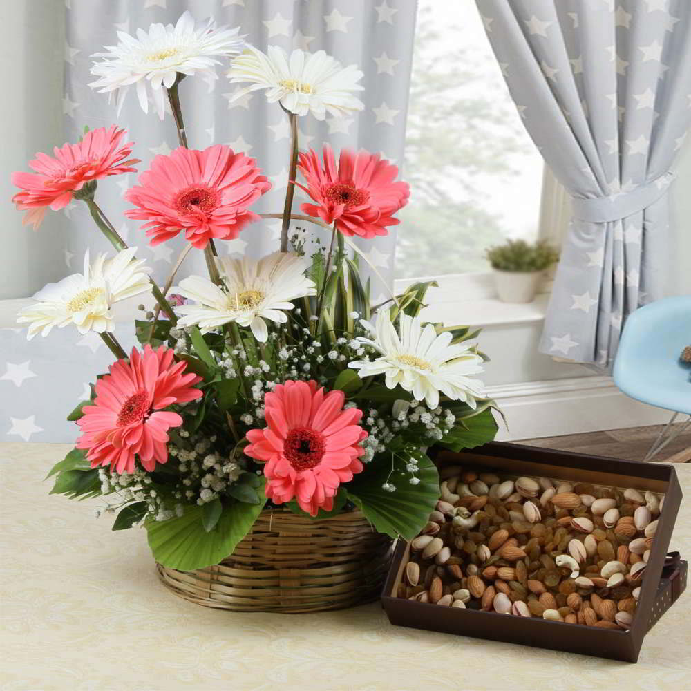 Amazing Arrangement of Gerberas with Assorted Dry Fruits for Mumbai