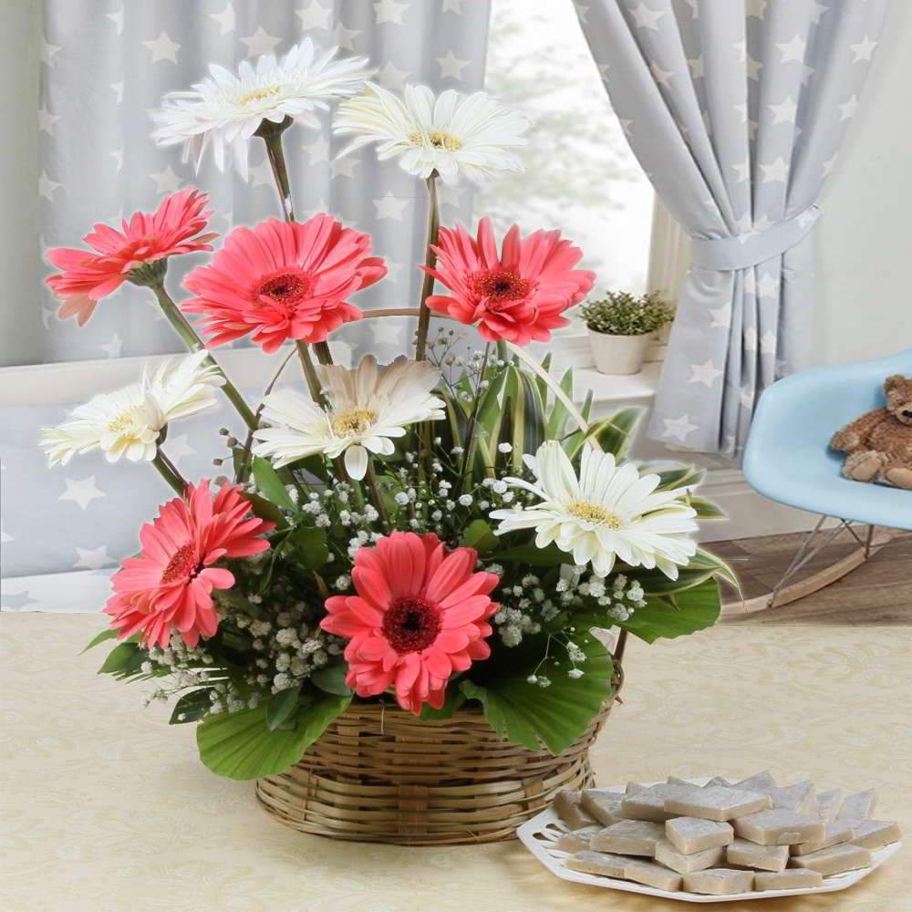 Kaju Katli Sweets with Ten Gerberas Arrangement for Mumbai