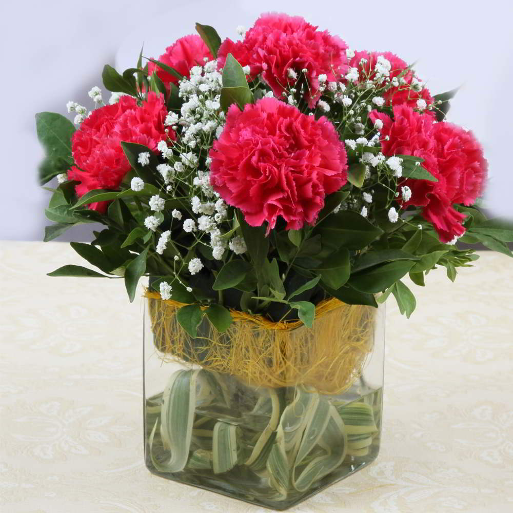 Six Pink Carnations in Vase for Mumbai