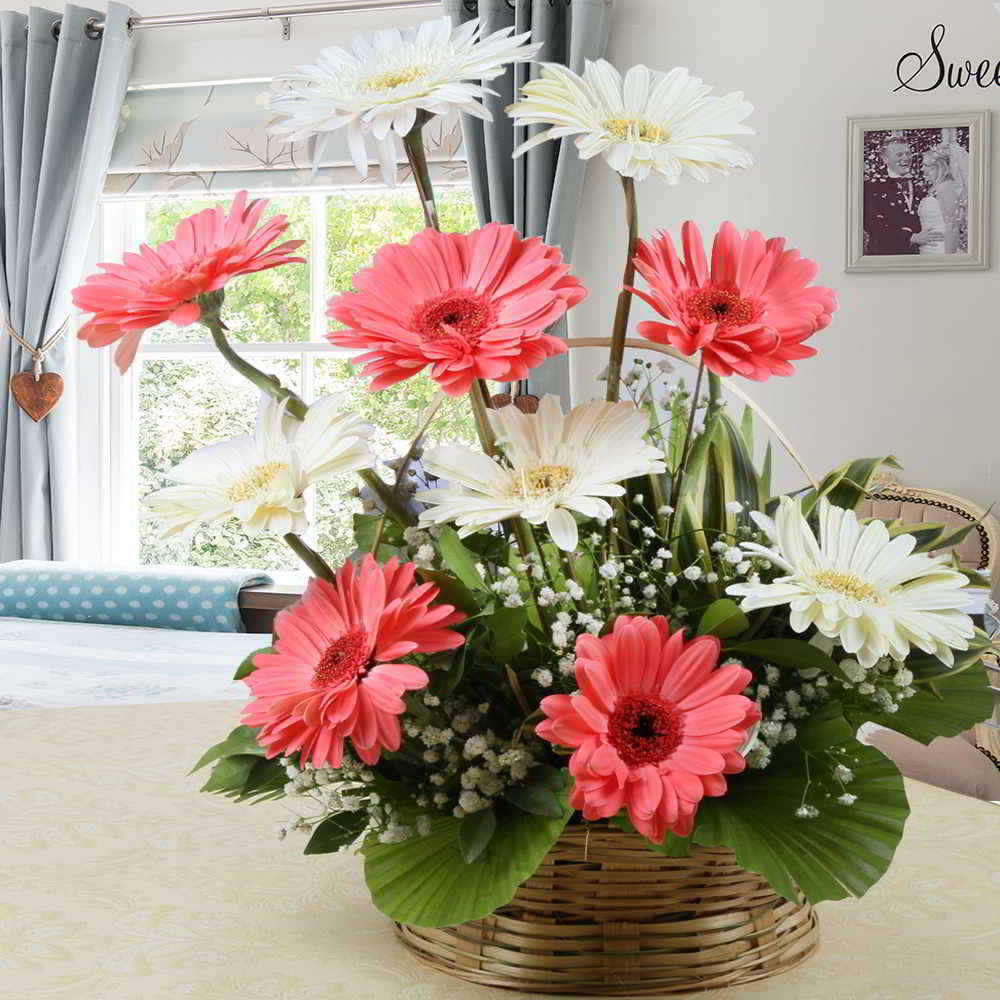 Arrangement of Pink and White Gerberas for Mumbai