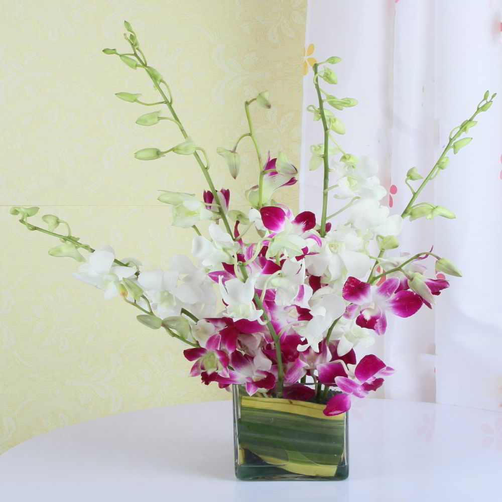 Mixed Orchids in a Glass Vase for Mumbai