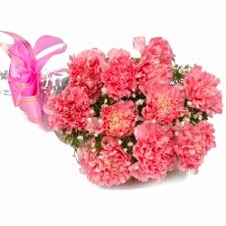 Gifts for Girlfriend - Ten Soft Pink Carnations Cellephane Wrapped