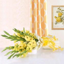 Gladiolus - Bouquet of Yellow Glads