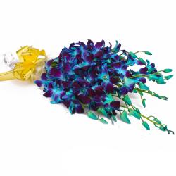 Gifts for Employees - Exotic 10 Blue Orchids Hand Tied Bunch