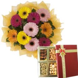 Flowers with Dry Fruits - Gerberas Dryfruit Treat