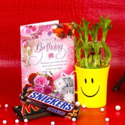 Good Luck Plant,Birthday Card and Chocolates