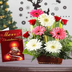 Christmas Flowers - Mix Flower Basket with Merry Christmas Greeting Card