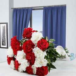Anniversary Gifts Gender Wise - Alluring Twenty Mix Carnations