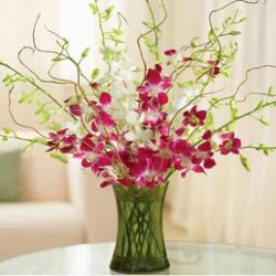 Send Purple Orchids In Glass Vase To Mysore