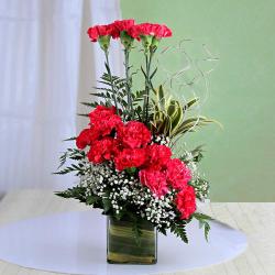 Long Size Flowers Arrangement - Exotic Pink Carnation Arrangement
