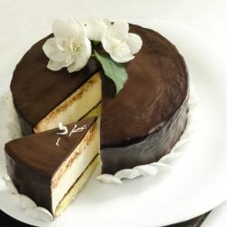 Premium Cakes - Chocolate Cheese Cake