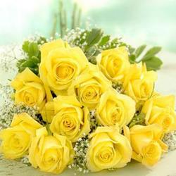 Flowers by Sentiments - Dozen Yellow  Roses Bouquet