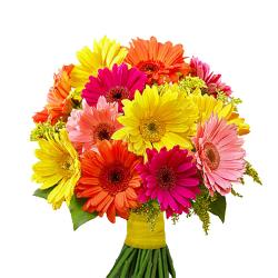 Fresh Flowers - Colorful Gerberas Bouquet