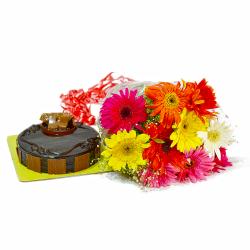 Flowers and Cake for Her - Birthday Combo of Mix Gerberas with Chocolate Cake