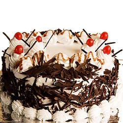 Send Small Black Forest Cake To Jaipur