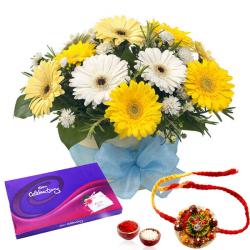Rakhi With Flowers - Rakhi Combo of Gerberas and Celebration Chocolate Pack
