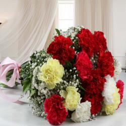 House Warming Gifts for Couple - Beautiful Mixed Carnations Bouquet