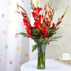 Birthday Flowers - Red Glads in a Glass Vase