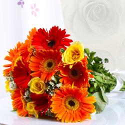 Send Gerberas and Roses Bouquet To Amalapuram