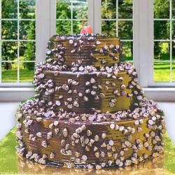 Designer Cakes - Exotic Chocolate 3 Tier Cake