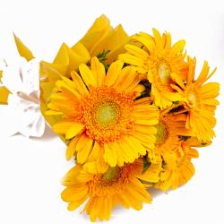 Flowers by Sentiments - Bouquet of Six Yellow Color Gerberas in Tissue Wrapping