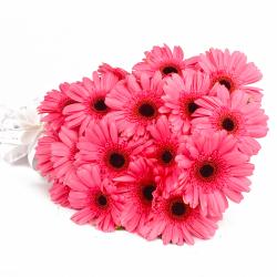 Gifts for Brother - Twenty Pink Gerberas Bouquet Online