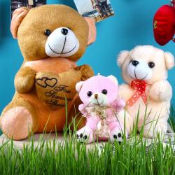 Mothers Day Gifts to Hyderabad - Teddy Combo For Mothers Day