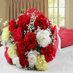 Send Mix Carnations Hand Tied Bouquet To Karnal