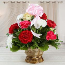 Anniversary Gifts for Elderly Couples - Basket Arrangement of Mix Carnations