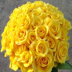 Get Well Soon Gifts for Mom - 50 Yellow Rose Bouquet