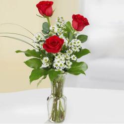 Designer Flowers - 3 red roses in the designer glass vase