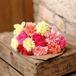 Send Bunch of Colorful Carnation To Bangalore