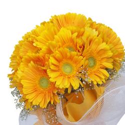 Friendship Day Flowers - Bouquet of Dozen Yellow Gerberas