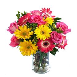Anthuriums - Vase Arrangement Of 15 Flowers