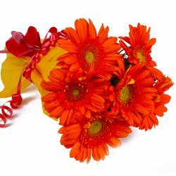 Thank You Gifts for Colleagues - Bunch of 6 Orange Gerberas in Tissue Wrapping