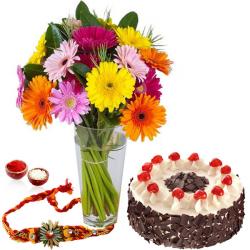Send Rakhi Gift Rakhi with Cake and Gerberas To Chennai