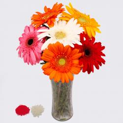 Bhai Dooj Gift Hampers - 6 Mix Gerberas in a Vase for Bhaidooj