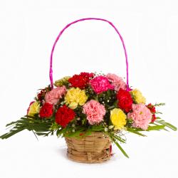 Send Multi Color 24 Carnations Basket Arrangement To Kollam