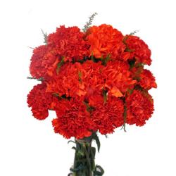 Gifts for Mother - Red Carnation Bouquet