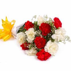 Send Dozen Red and White Carnations with Tissue Wrapping To Tirupati