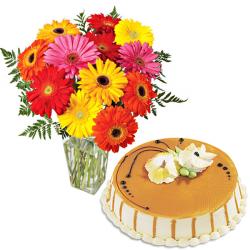 Flowers with Cake - Mix Gerberas With ButterScotch Cake