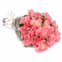 Gifts for Employees - Sixteen Pink Carnations Hand Tied Bunch
